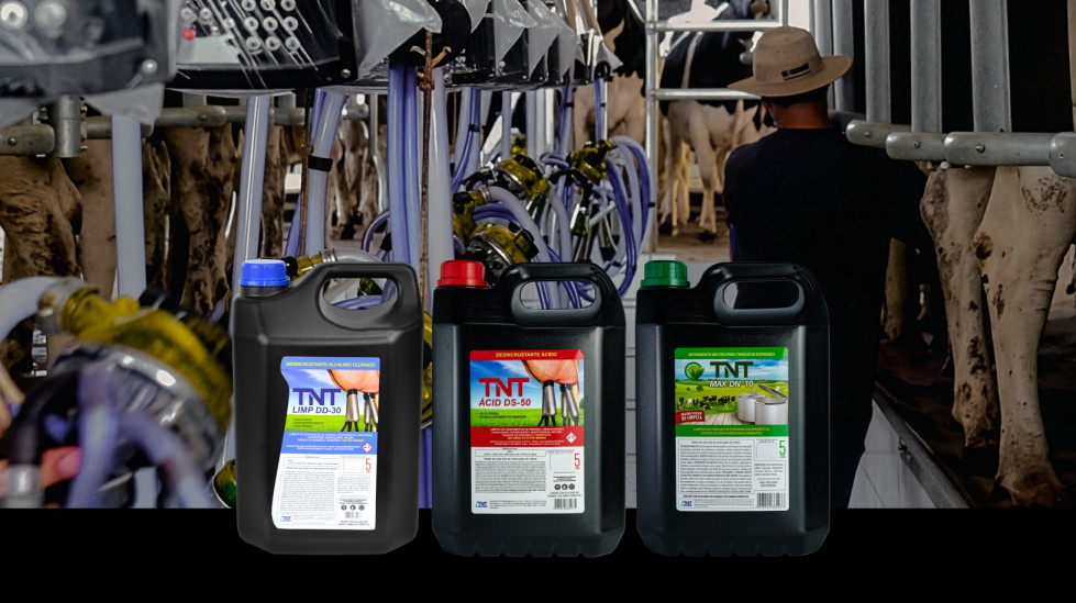 O segredo da rentabilidade leiteira está na ciência da higienização